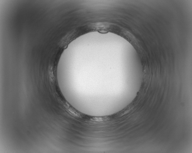 X0000071940381200607071019
