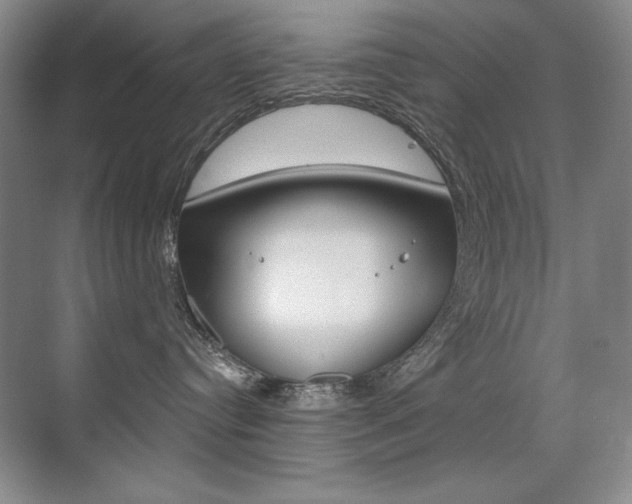 X0000071940384200607071020