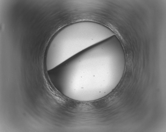 X0000071940386200607071019