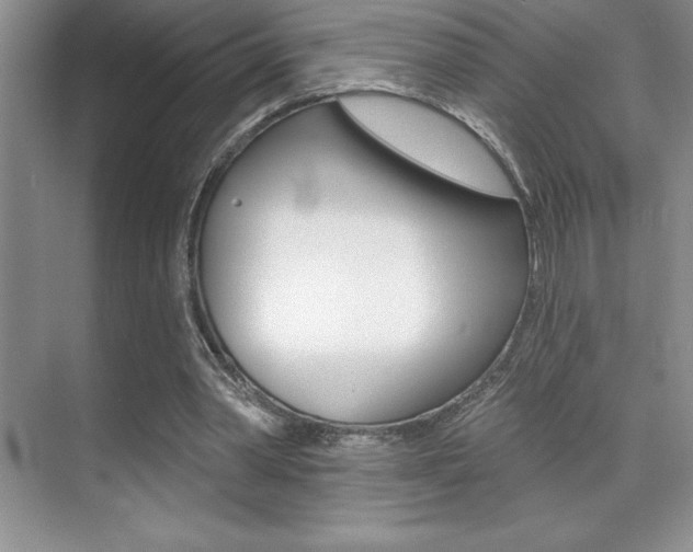 X0000071940390200607071019
