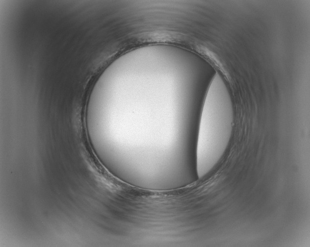 X0000071940394200607071019