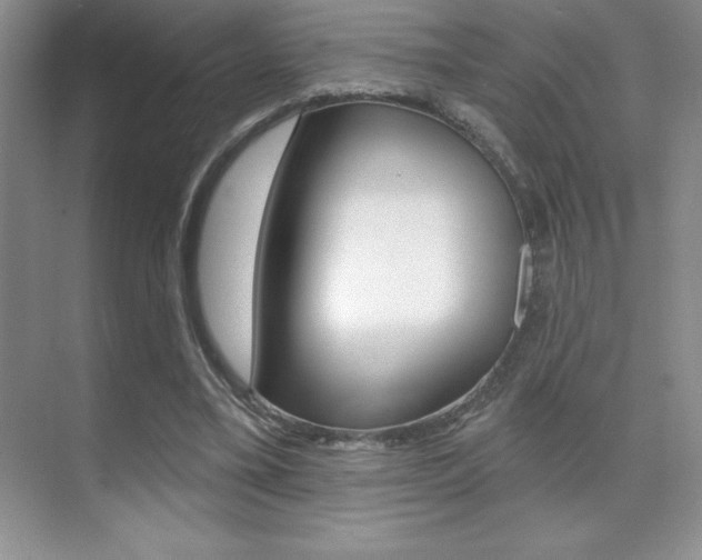 X0000071940395200607071019