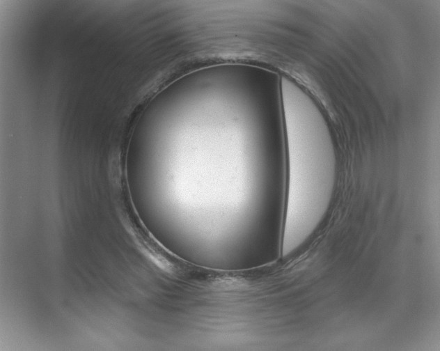 X0000071940397200607071019