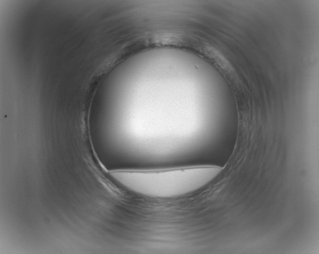 X0000071940401200607071018