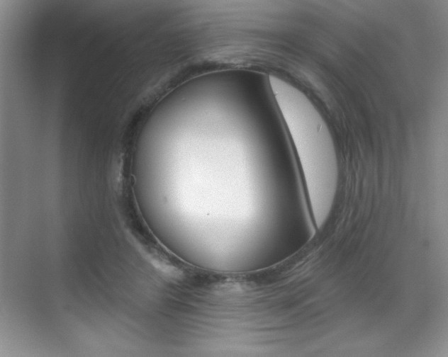 X0000071940404200607071018