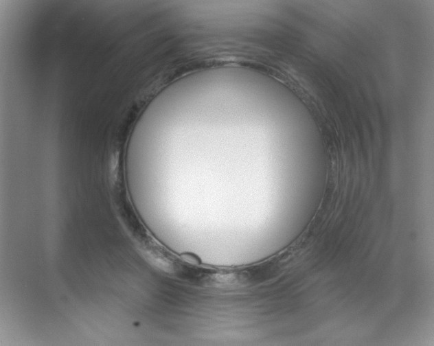 X0000071940406200607071018
