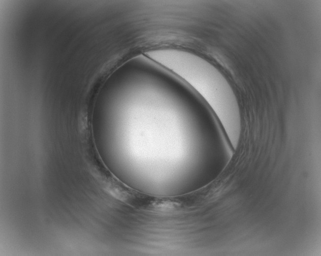 X0000071940407200607071018