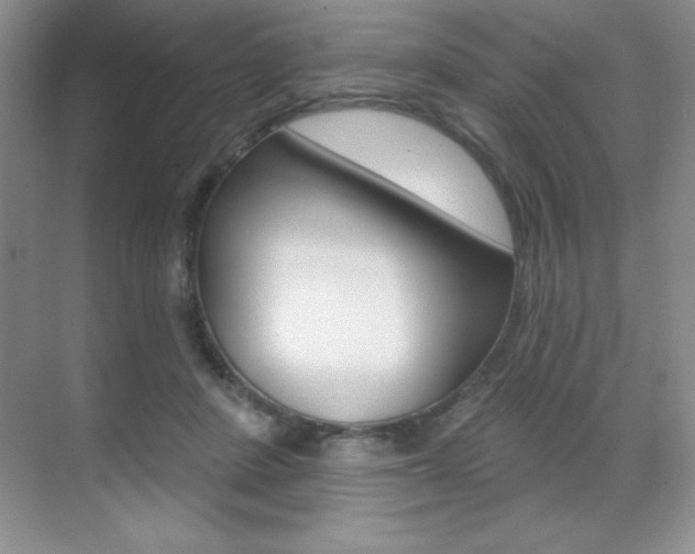 X0000071940408200607071018