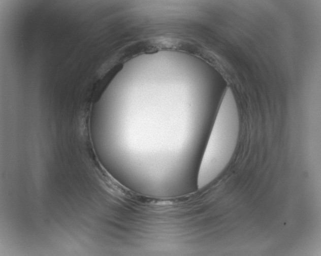 X0000071940409200607071018