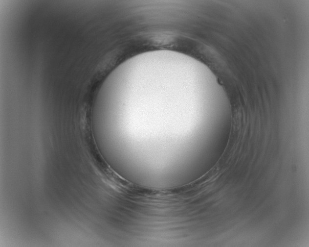 X0000071940412200607071018