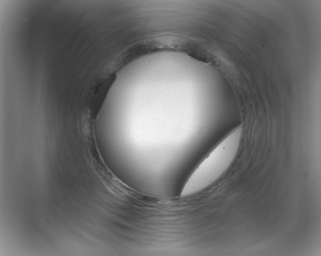 X0000071940413200607071018