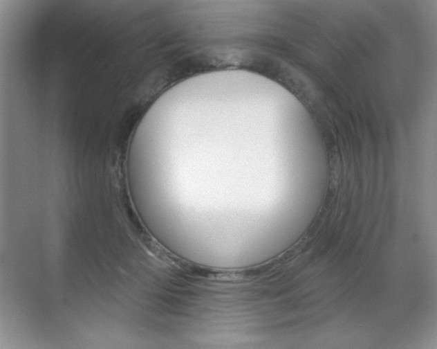 X0000071940414200607071018