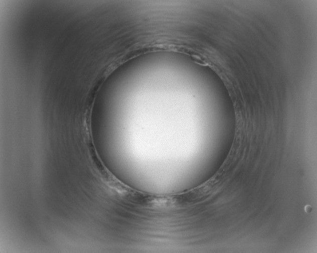 X0000071940415200607071018