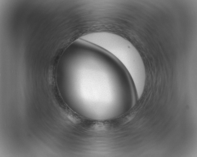 X0000071940416200607071018