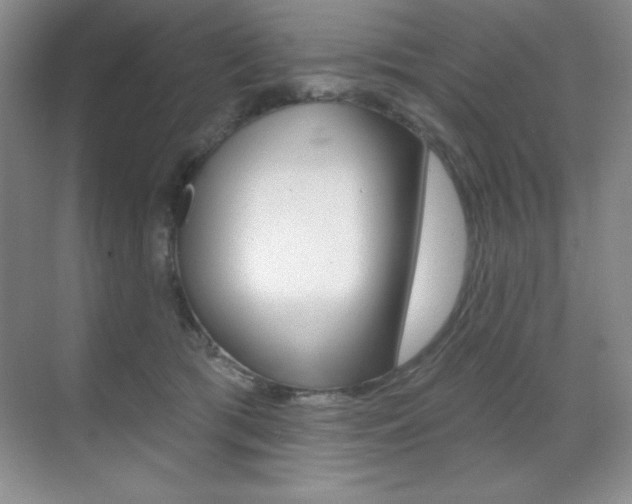 X0000071940417200607071018
