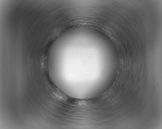 X0000071940423200607071018
