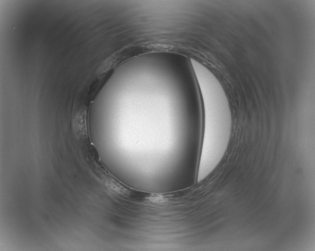 X0000071940425200607071018