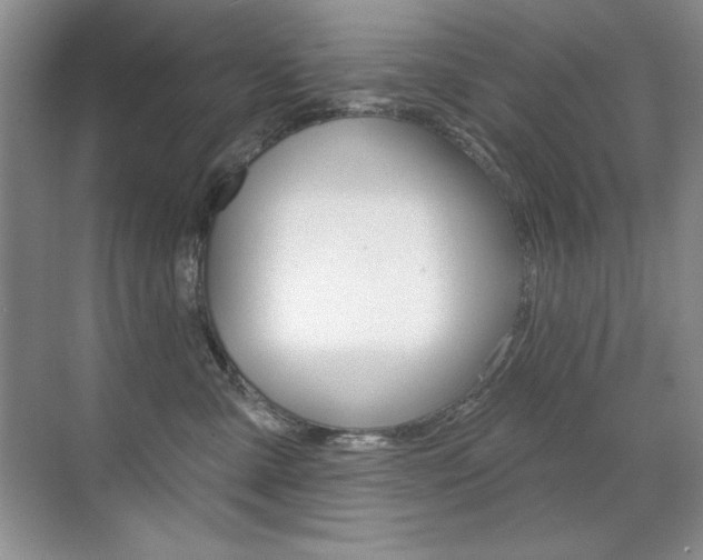 X0000071940427200607071018