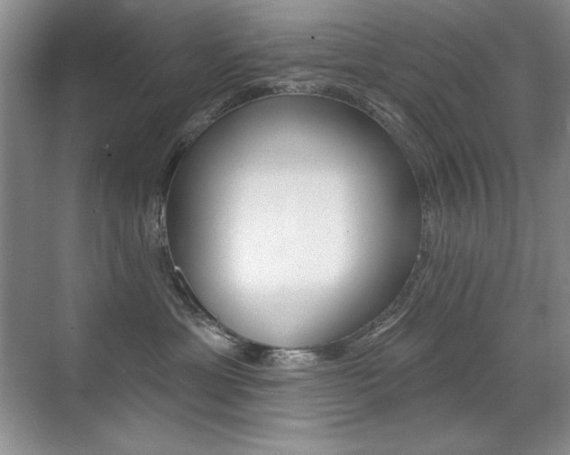 X0000071940429200607071018