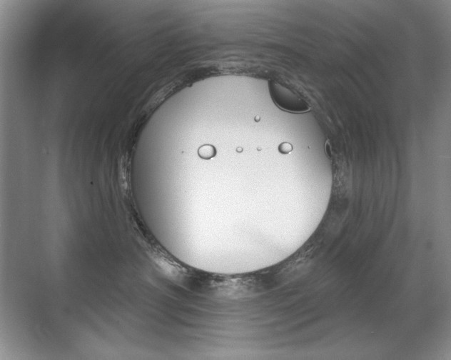X0000071940430200607071018