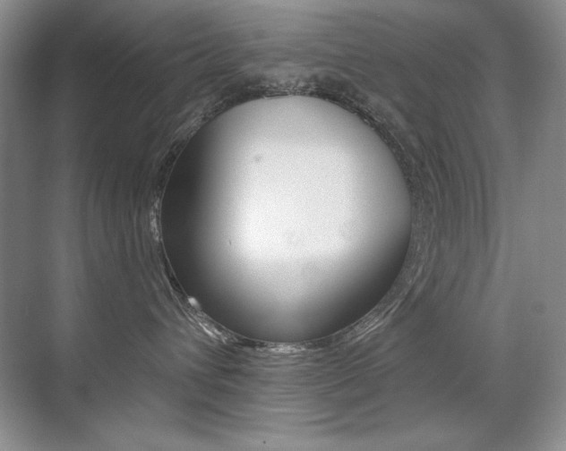 X0000071940432200607071018