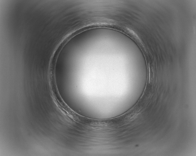 X0000071940435200607071017
