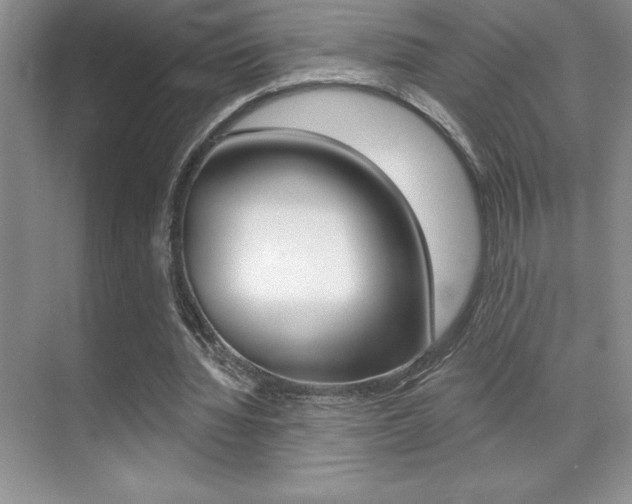 X0000071940436200607071017