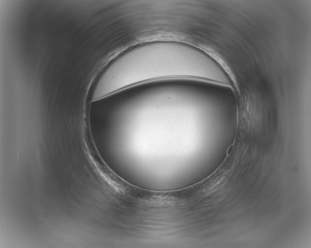 X0000071940437200607071017