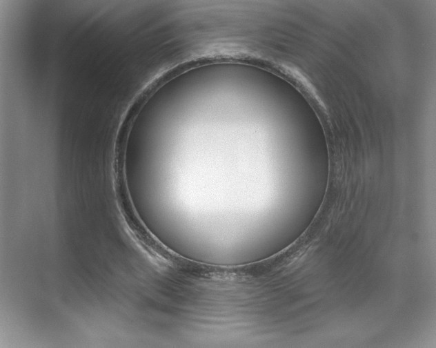 X0000071940439200607071017