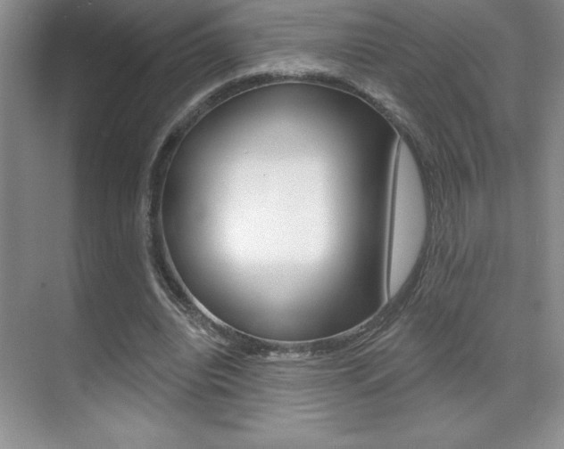 X0000071940440200607071017