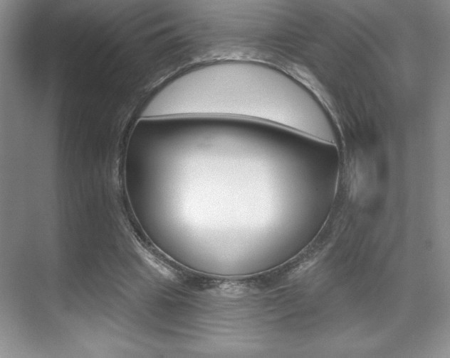 X0000071940441200607071017