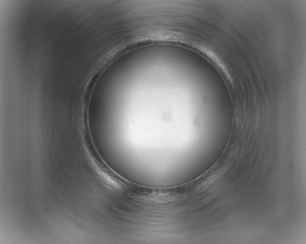 X0000071940445200607071017