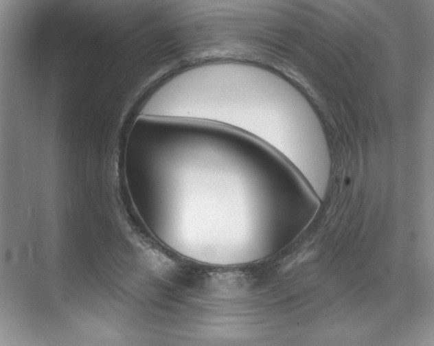 X0000071940446200607071017
