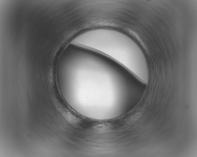 X0000071940447200607071017