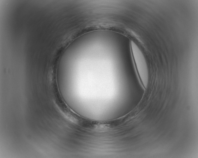 X0000071940451200607071017