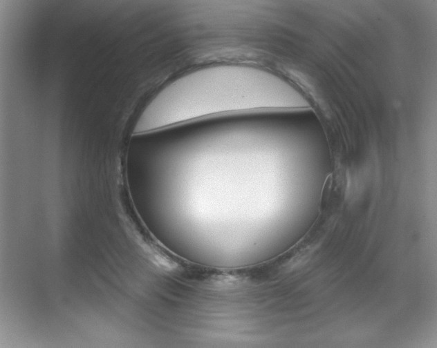 X0000071940453200607071017