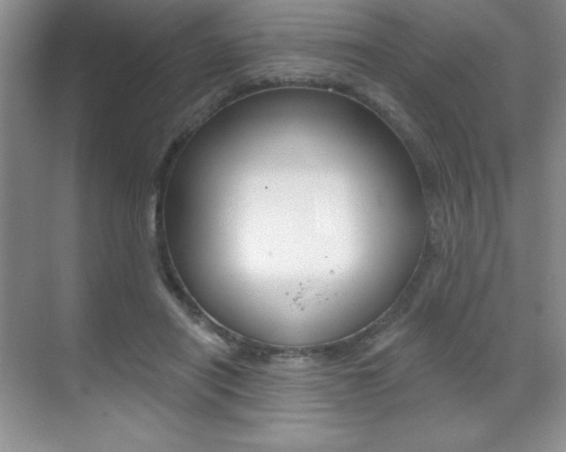 X0000071940454200607071017