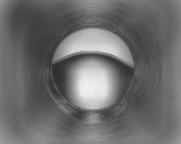 X0000071940456200607071018