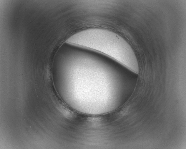 X0000071940457200607071018