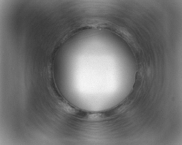 X0000071940461200607071018