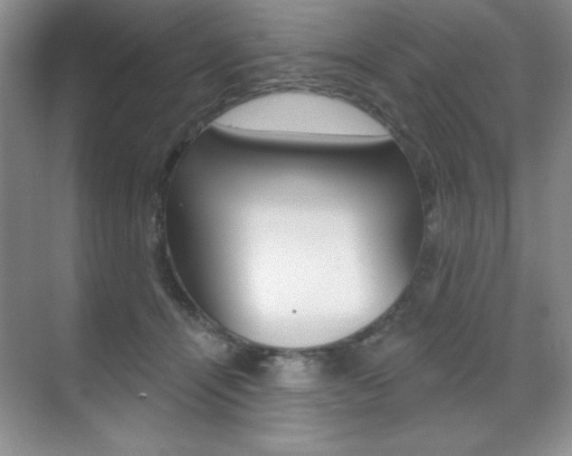 X0000071940464200607071018