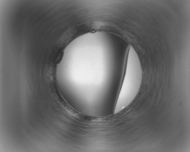 X0000071940470200607071018