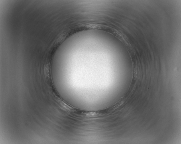 X0000071940473200607071018
