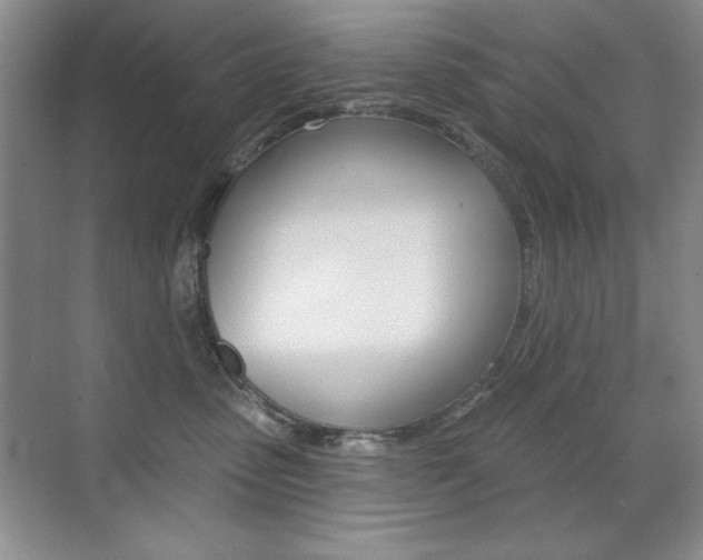 X0000071940475200607071018