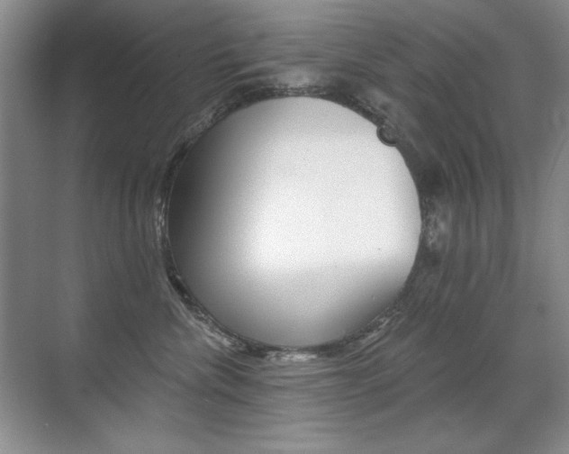 X0000071940476200607071018
