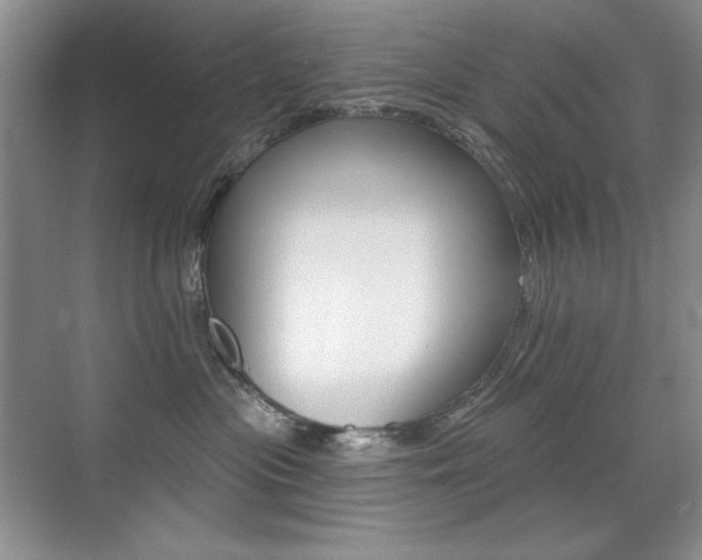 X0000071940477200607071018