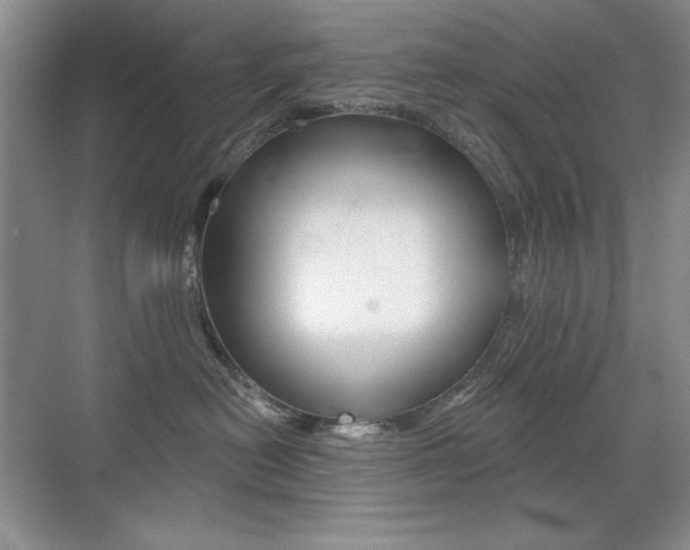 X0000071940478200607071018