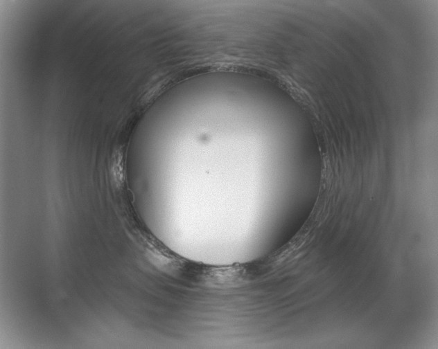 X0000071940479200607071018