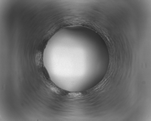 X0000071940480200607071018