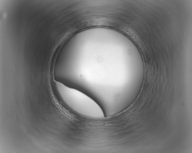 X0000071940482200607071017